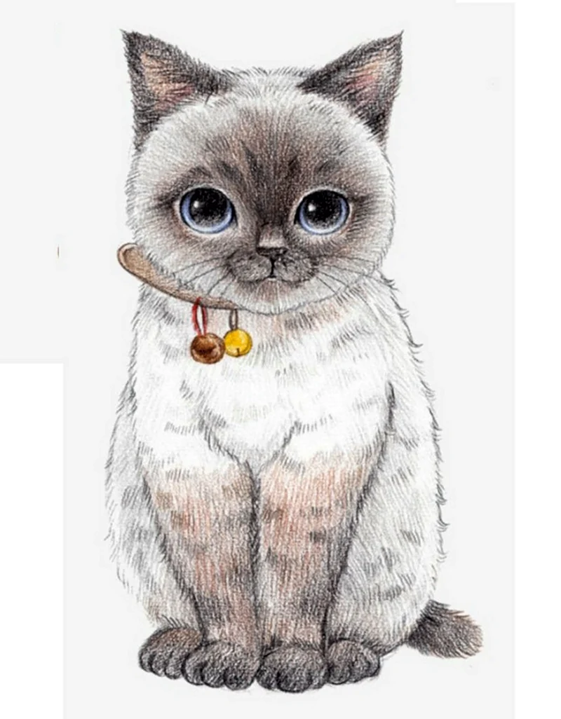 Яркие рисунки кошек Изображения – скачать бесплатно на Freepik