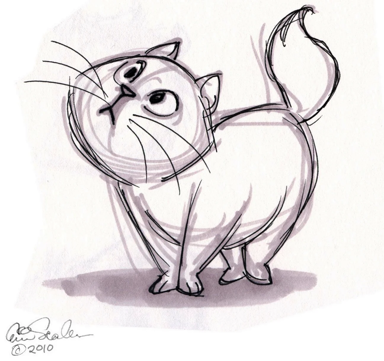 Рисунки карандашом для срисовки кошек для детей (56 фото)