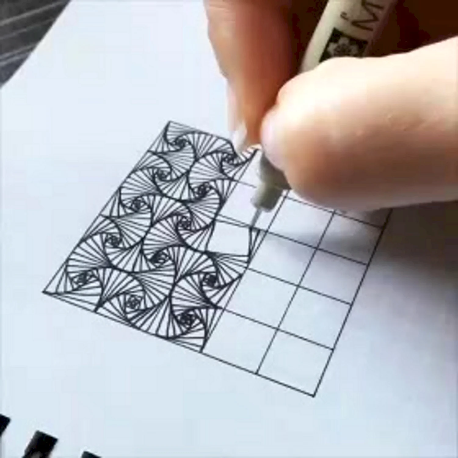 Рисунки по клеточкам чёрной ручкой