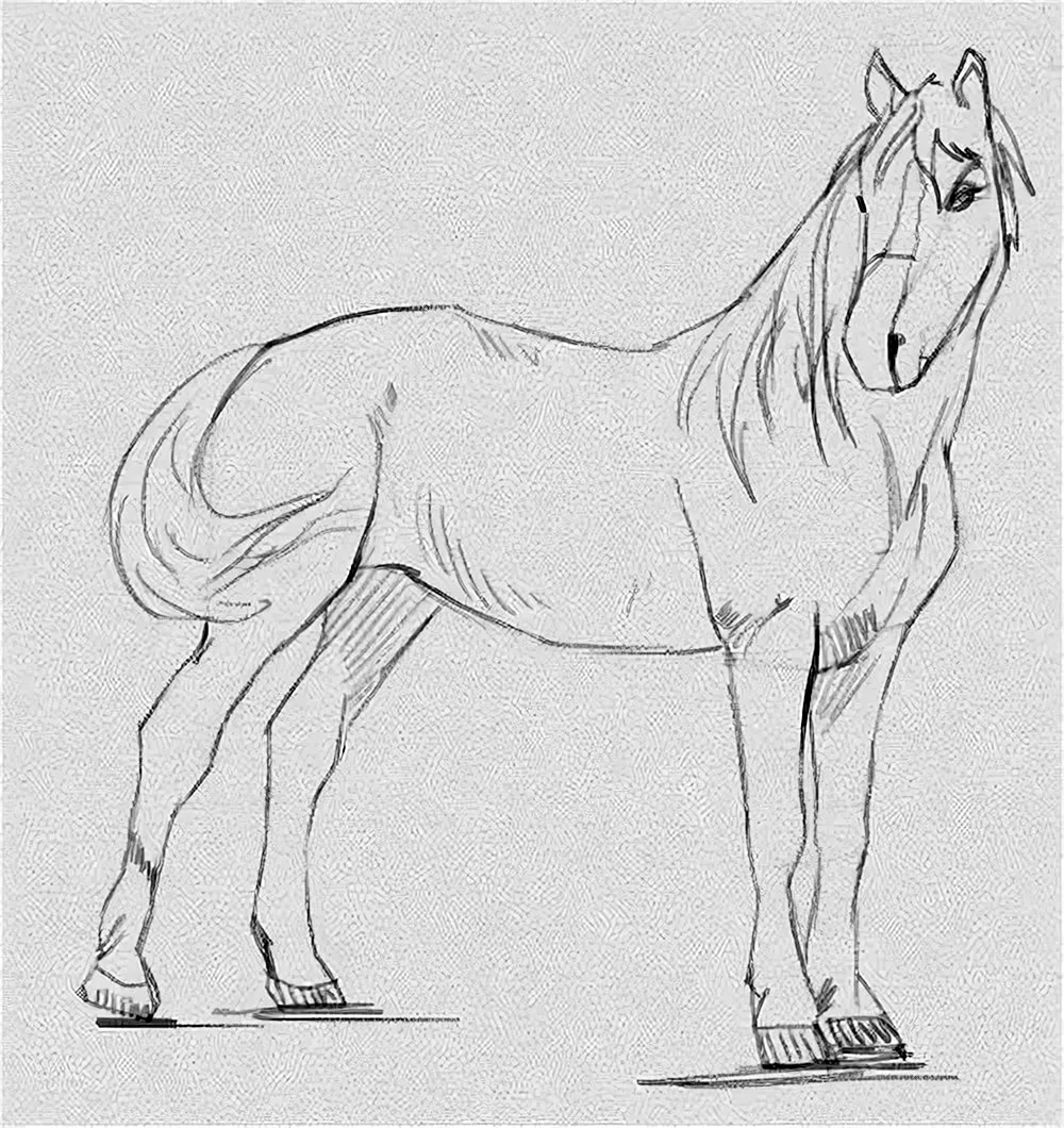 Лошадь картинки рисунки. Лошадь рисунок карандашом. Картинки лошадей карандашом. Лошадь для срисовывания. Зарисовки лошадей карандашом.
