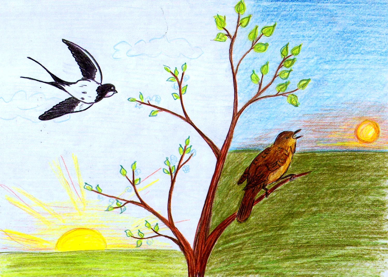 Рисунок на тему весенние птицы