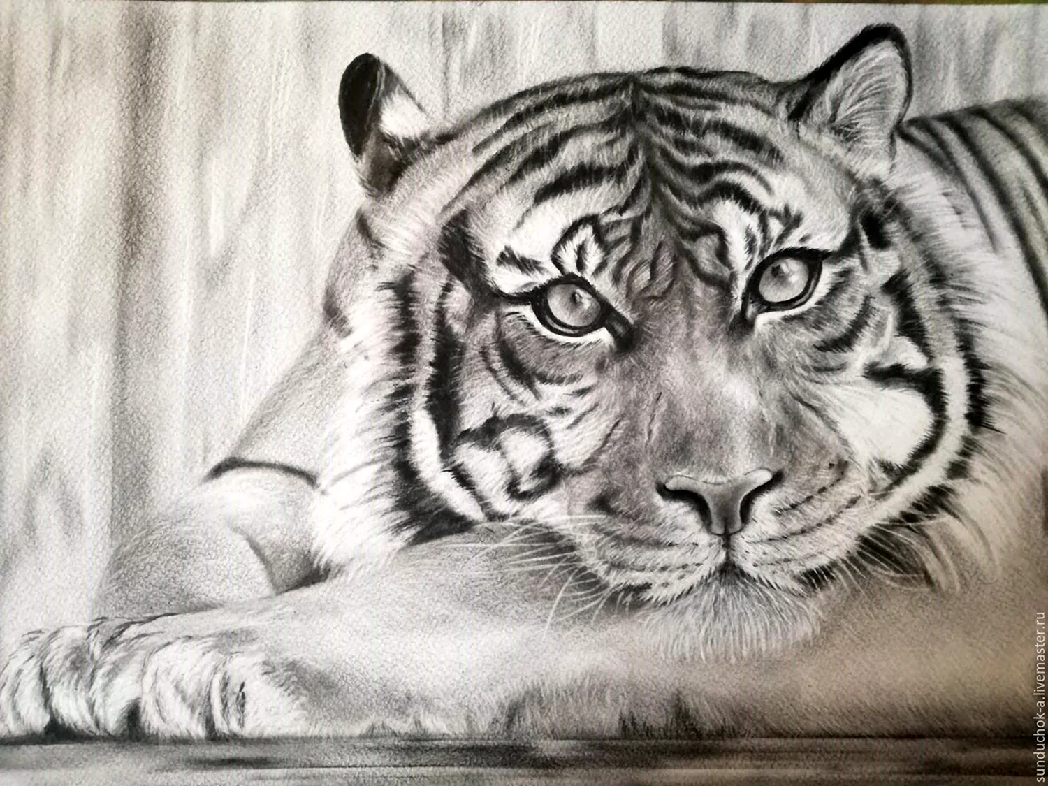 Как нарисовать (рисовать) тигра - поэтапные рисунки и видеоуроки