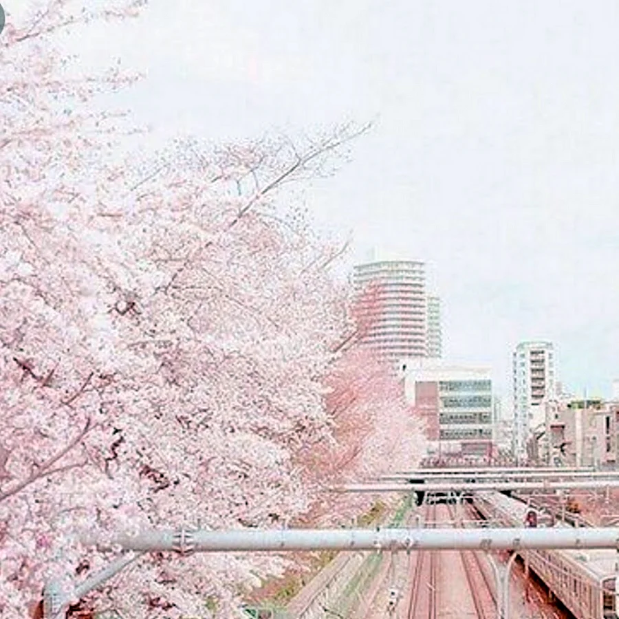 Розовая Эстетика Япония