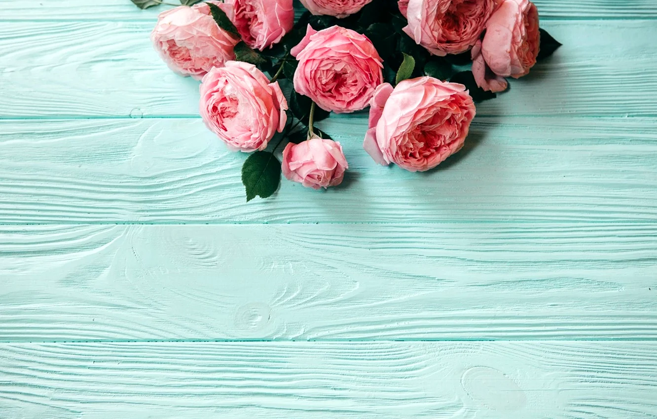 Розовые цветы на бирюзовом фоне