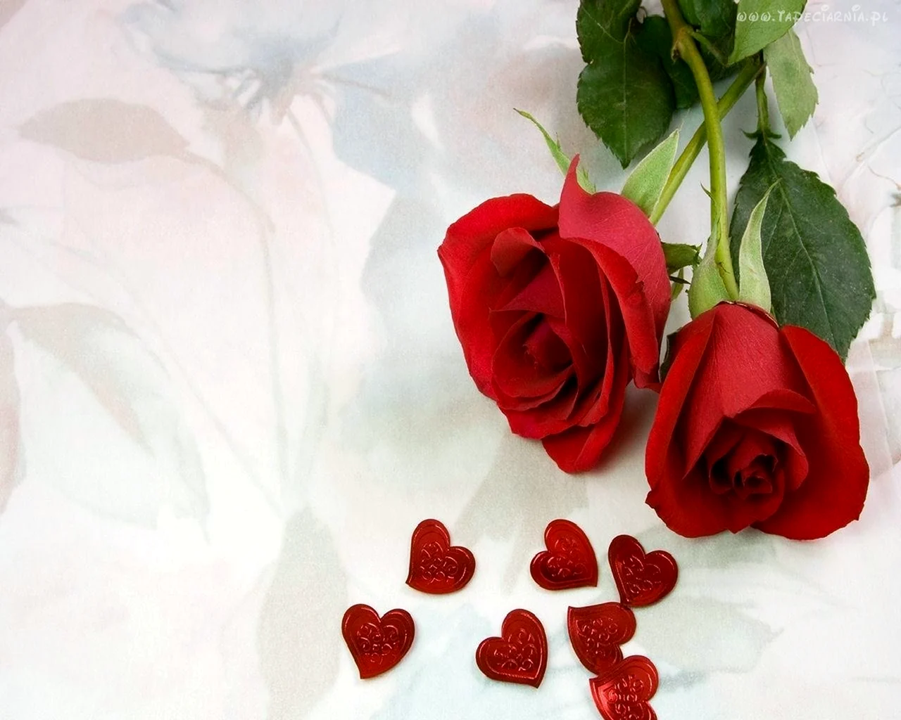 Розы для любимой девушки с надписью