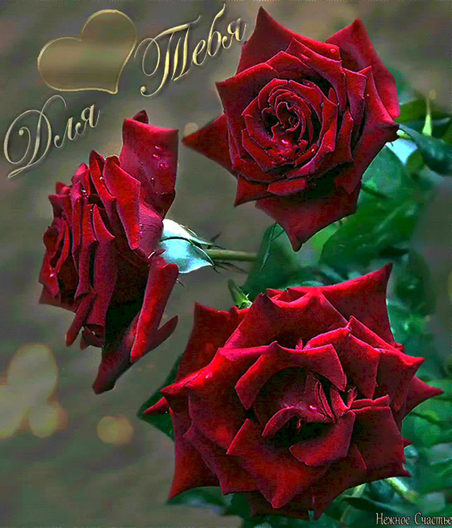 Букет роз с пожеланиями