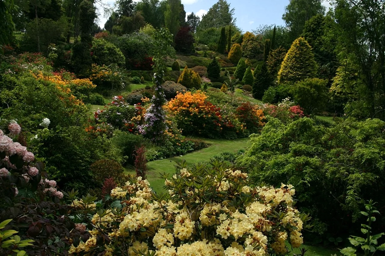 Сад Maple Glen Garden новая Зеландия