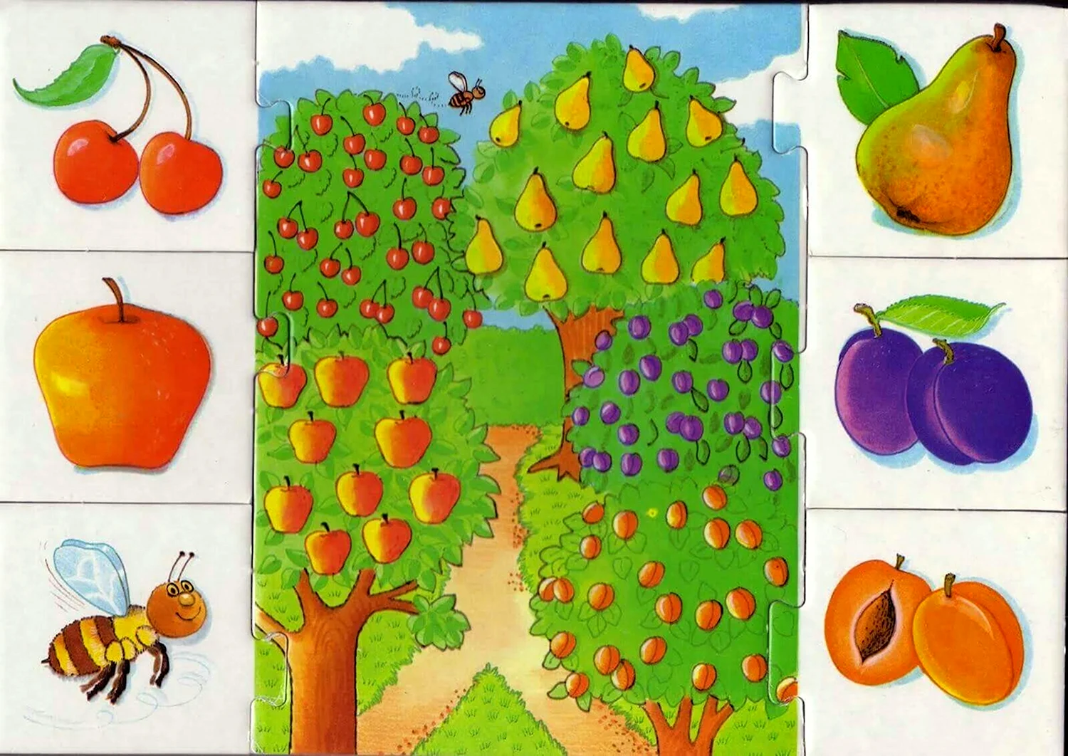 Сад с фруктами для детей