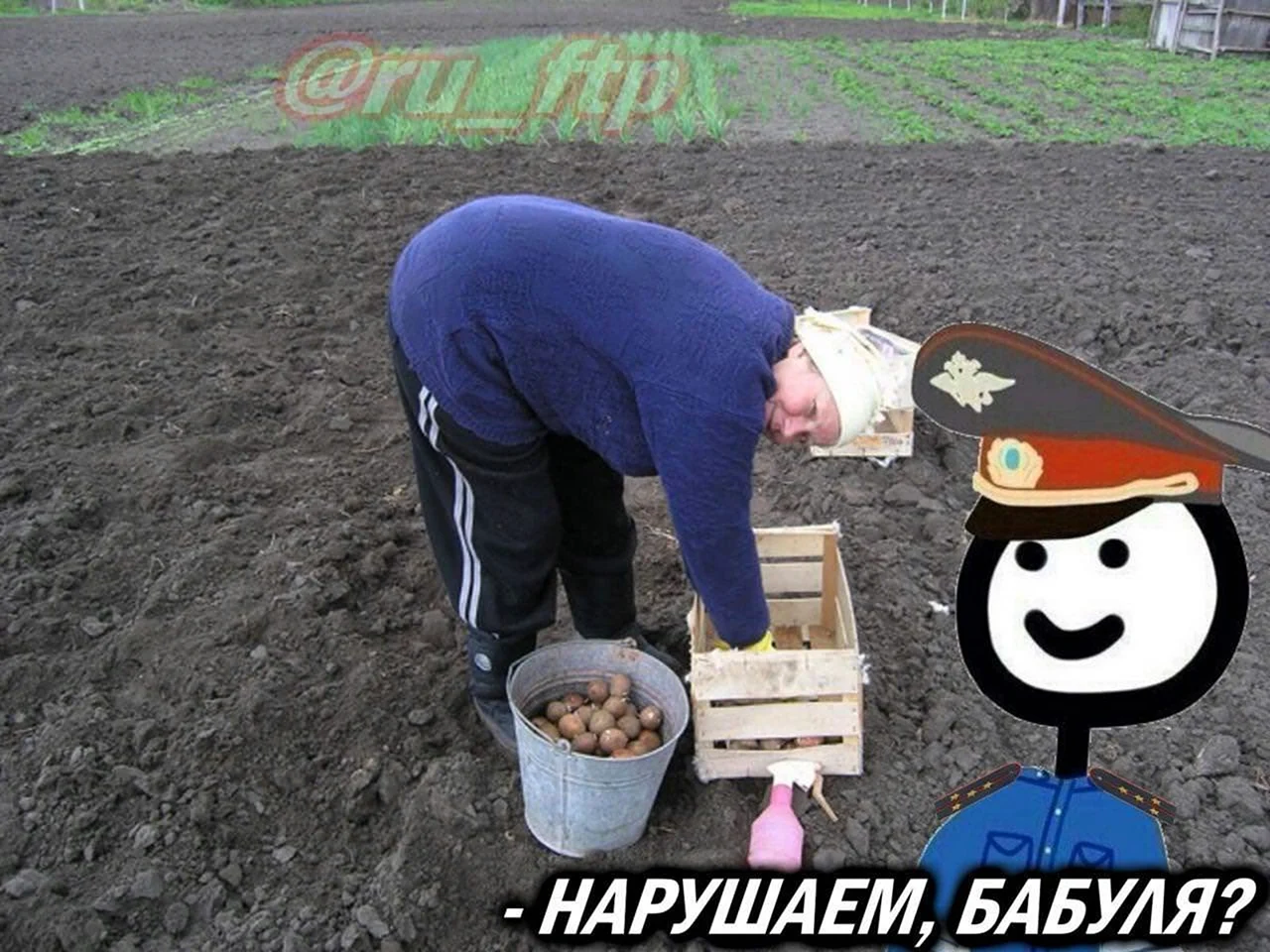 Садим картошку прикол