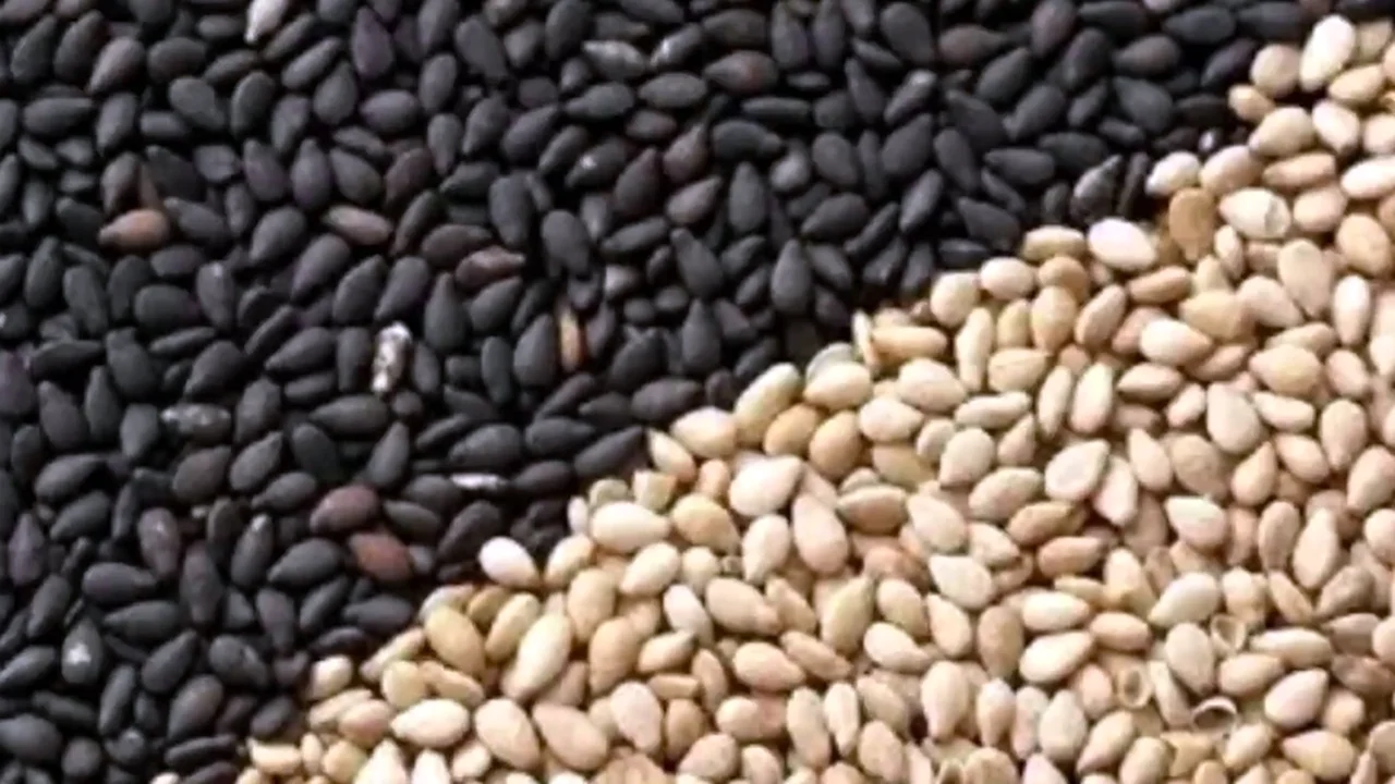 Семена Sesame Seeds