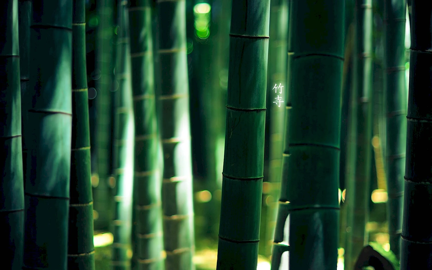 Серебристый бамбук Bamboo Green Bambusgruen