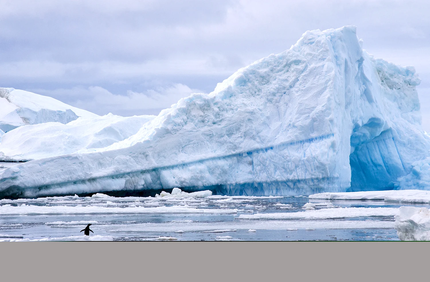 Северный полюс Антарктида и Арктика