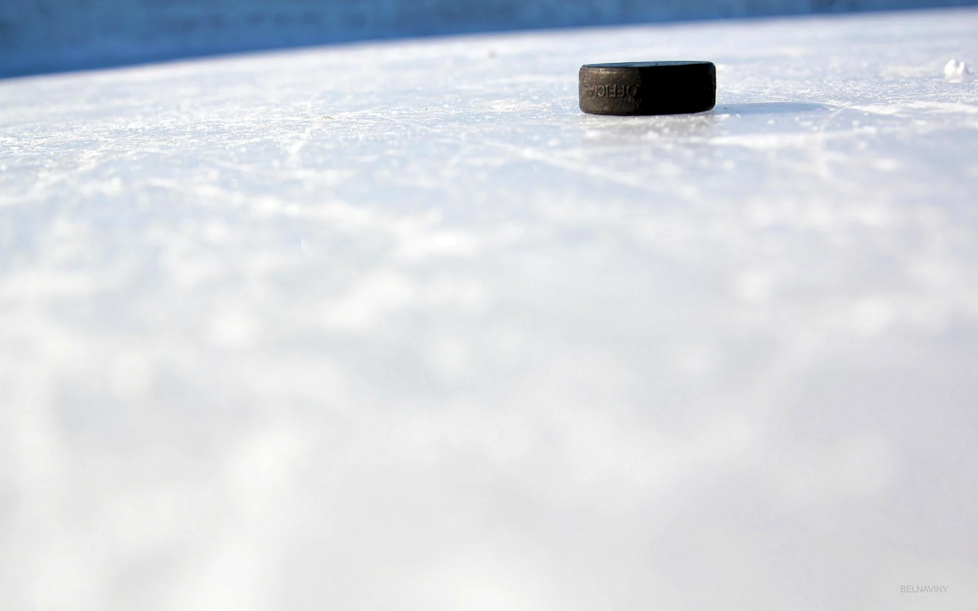 Шайба хоккейная на льду