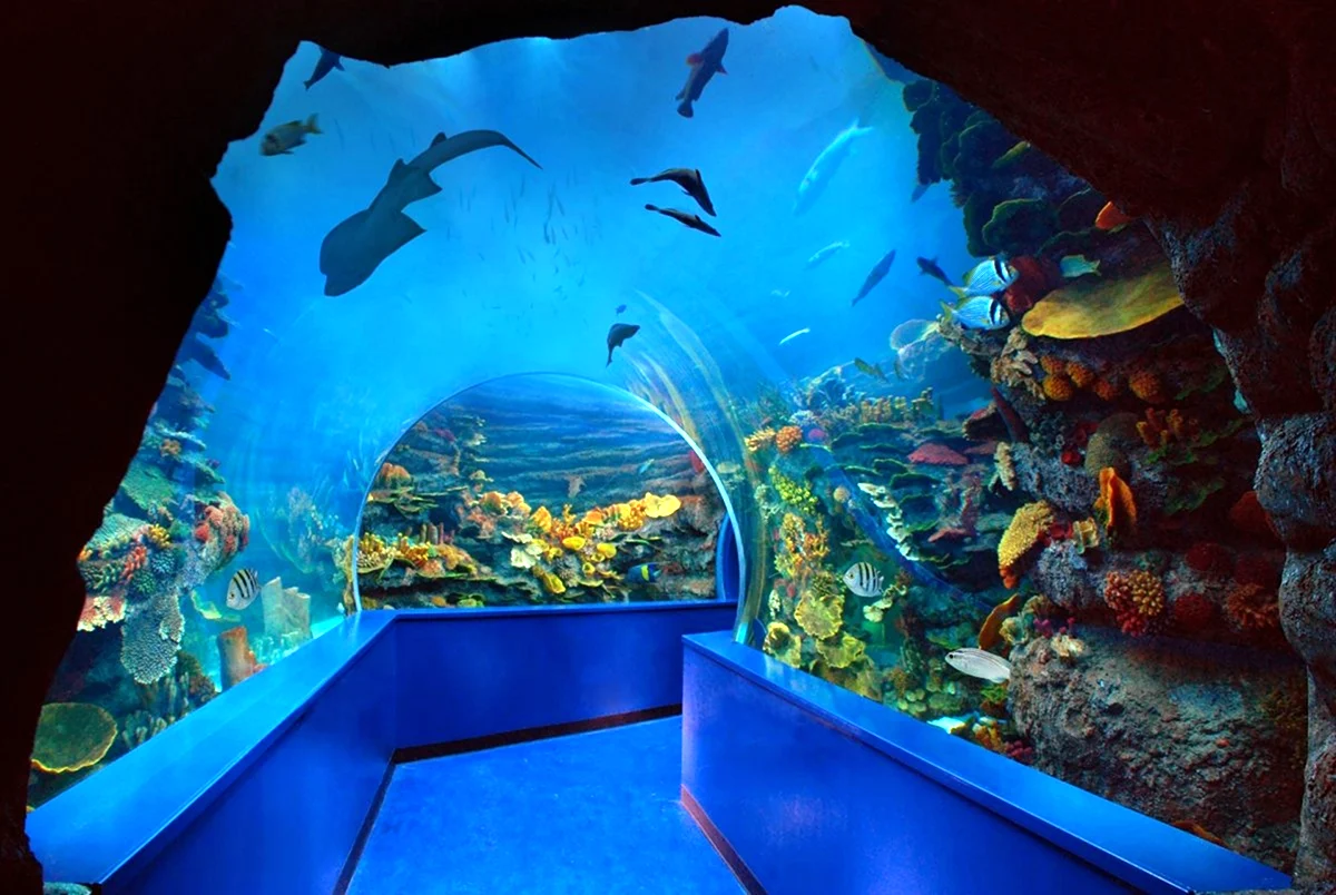 Шарджинский аквариум