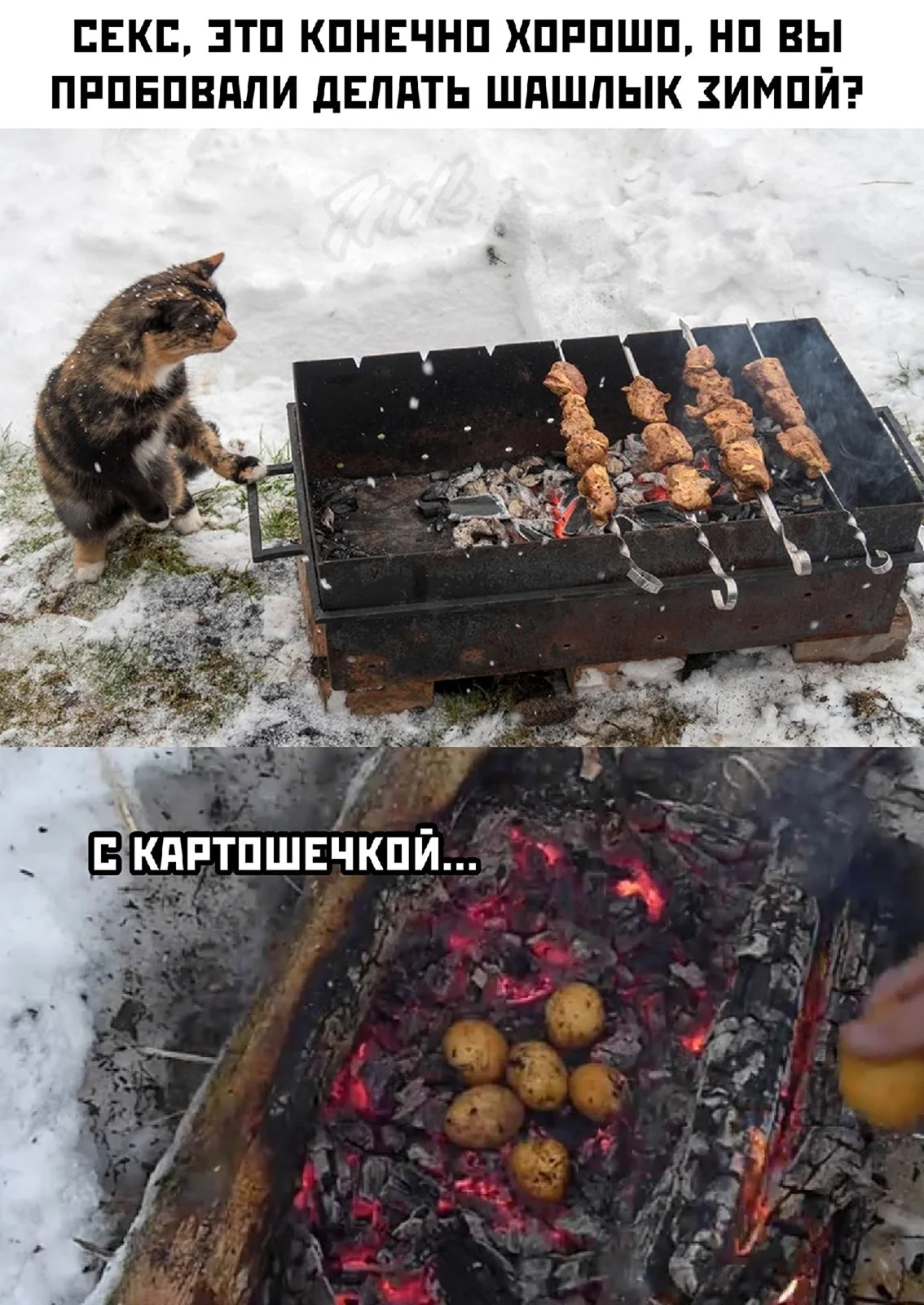 Картинки про шашлыки