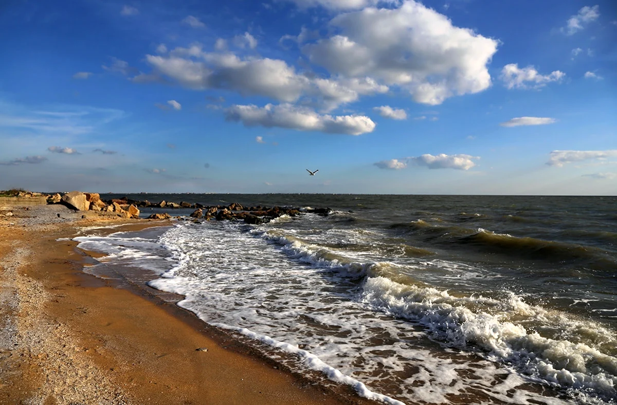 Картинки Азовского моря (88 фото)