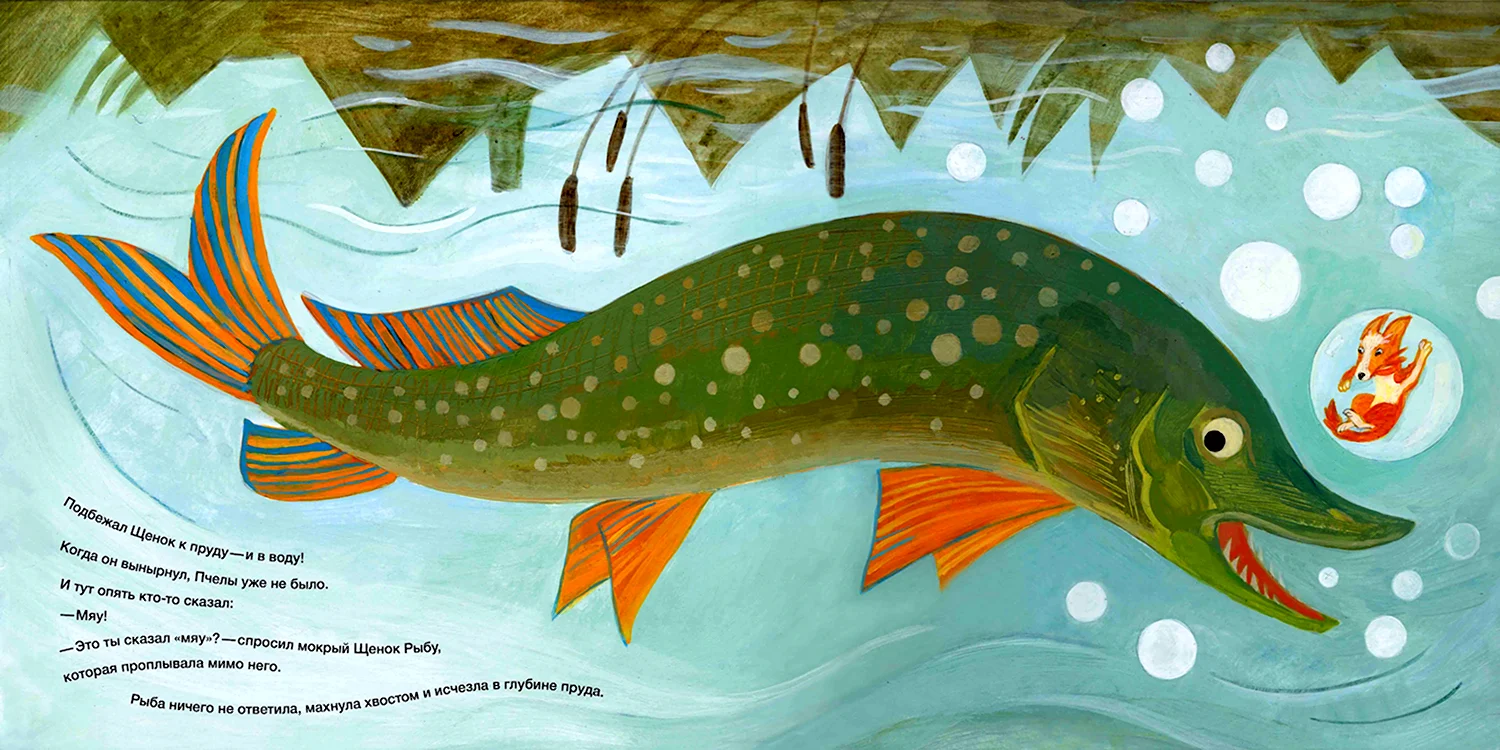 Раскраска Щука | Раскраски пресноводные рыбы. Раскраска рыбы - речных и озерных
