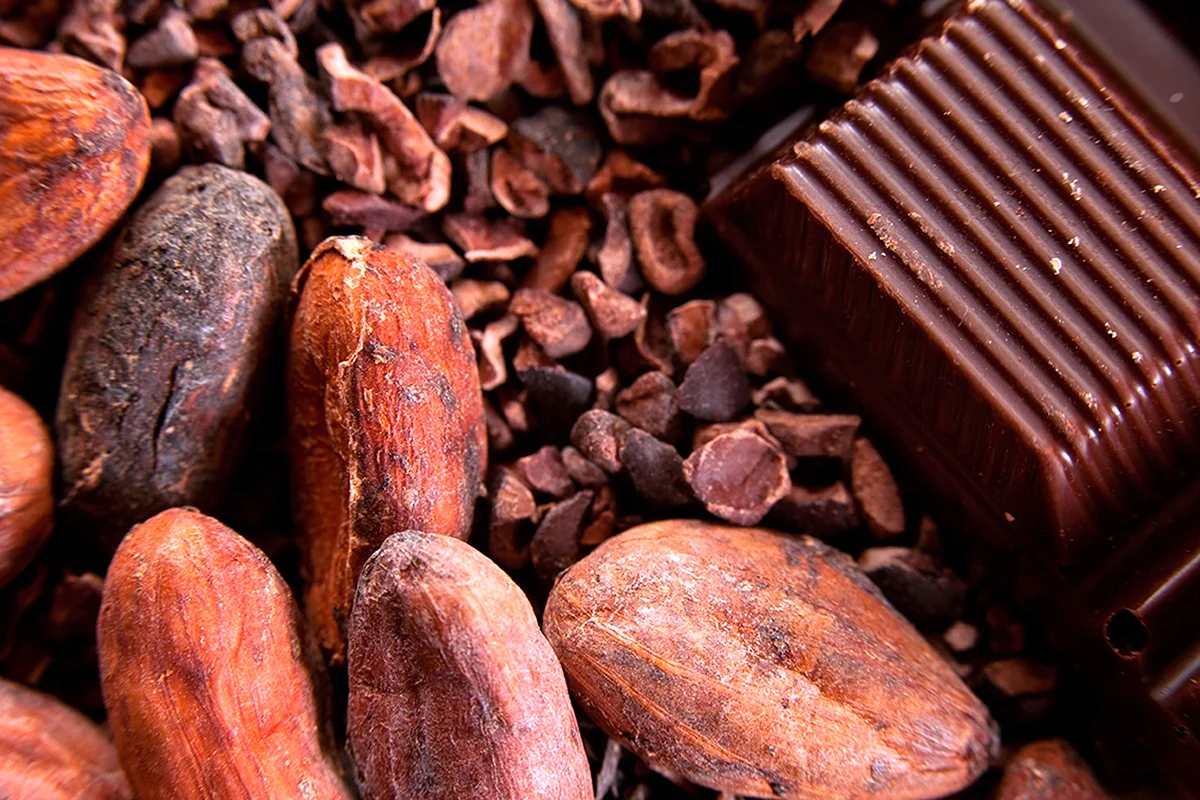 Шоколад какао Бобы