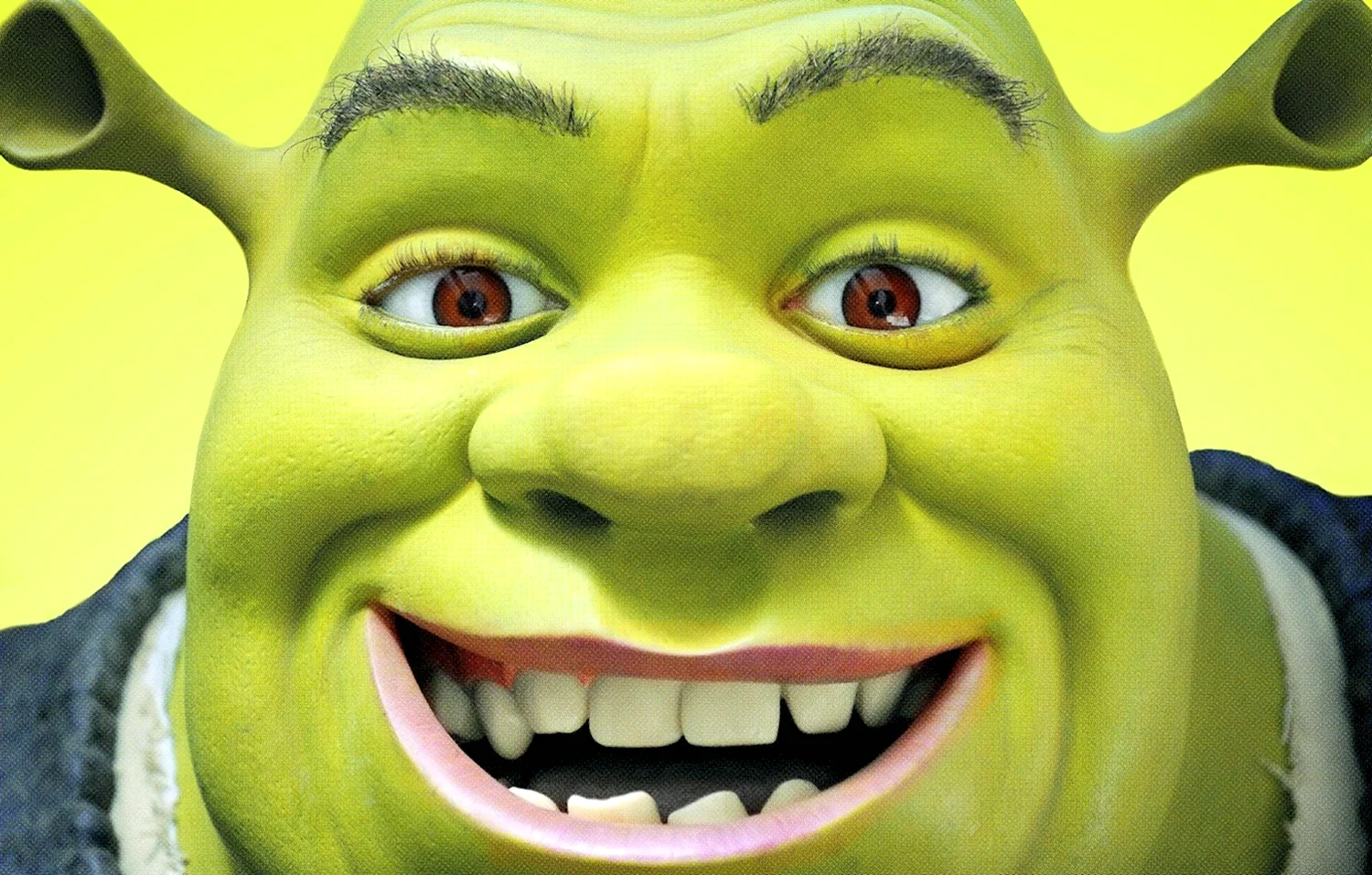 💚°~•SHREK•~°💚 | Шрек, Смешные фото, Фотографии профиля