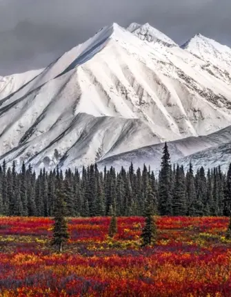 Штат Аляска природа