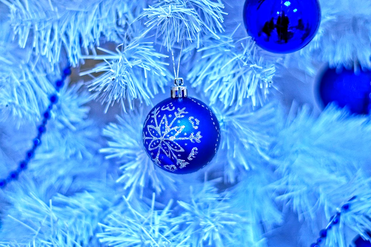Синяя елка