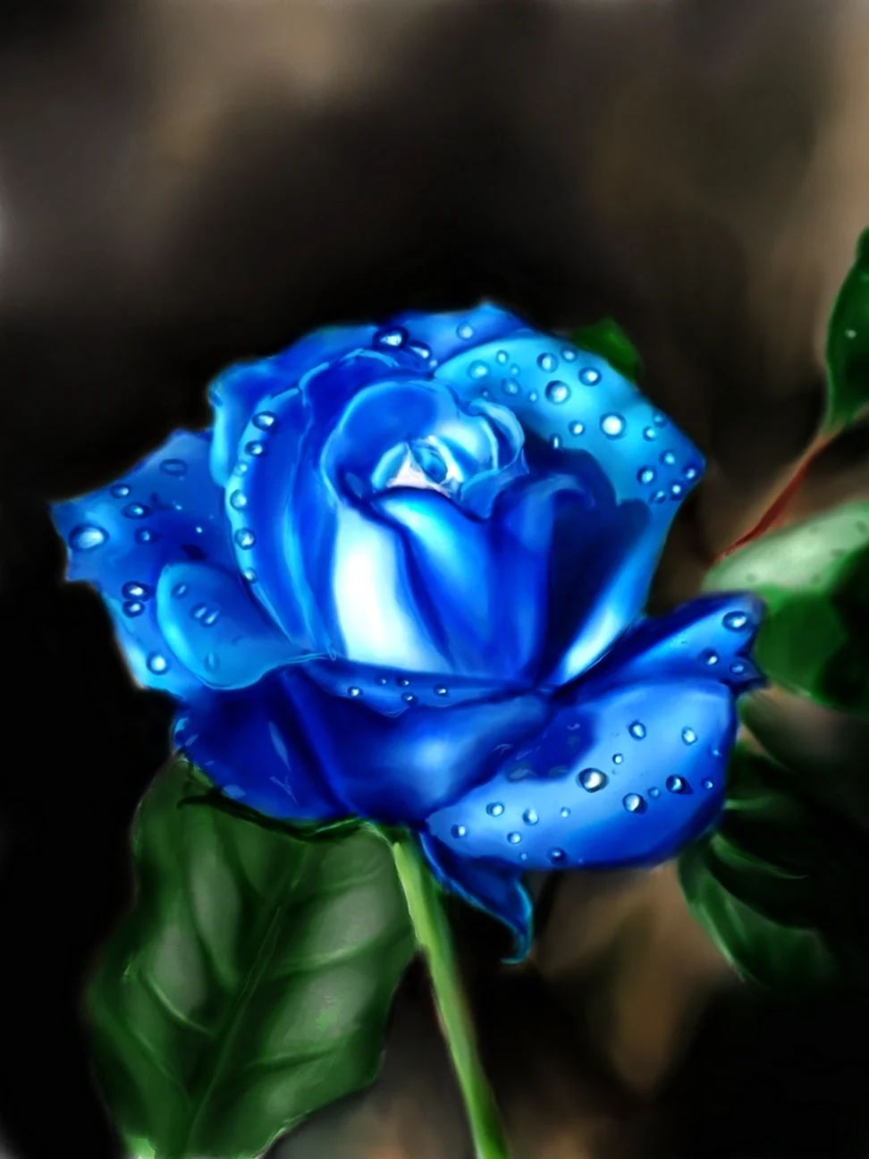 Синяя роза в росе