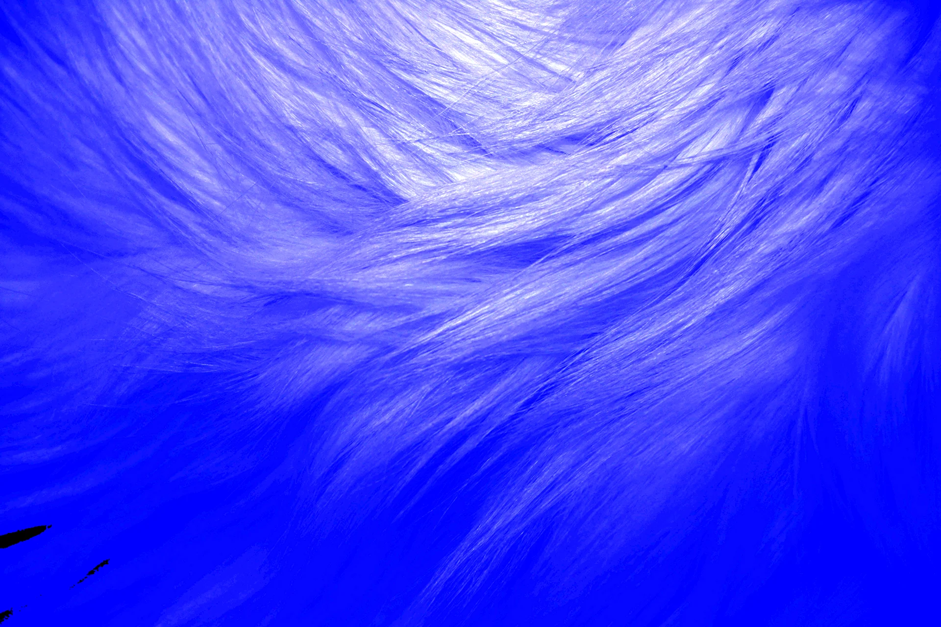 Фон синий цвет (63 фото)