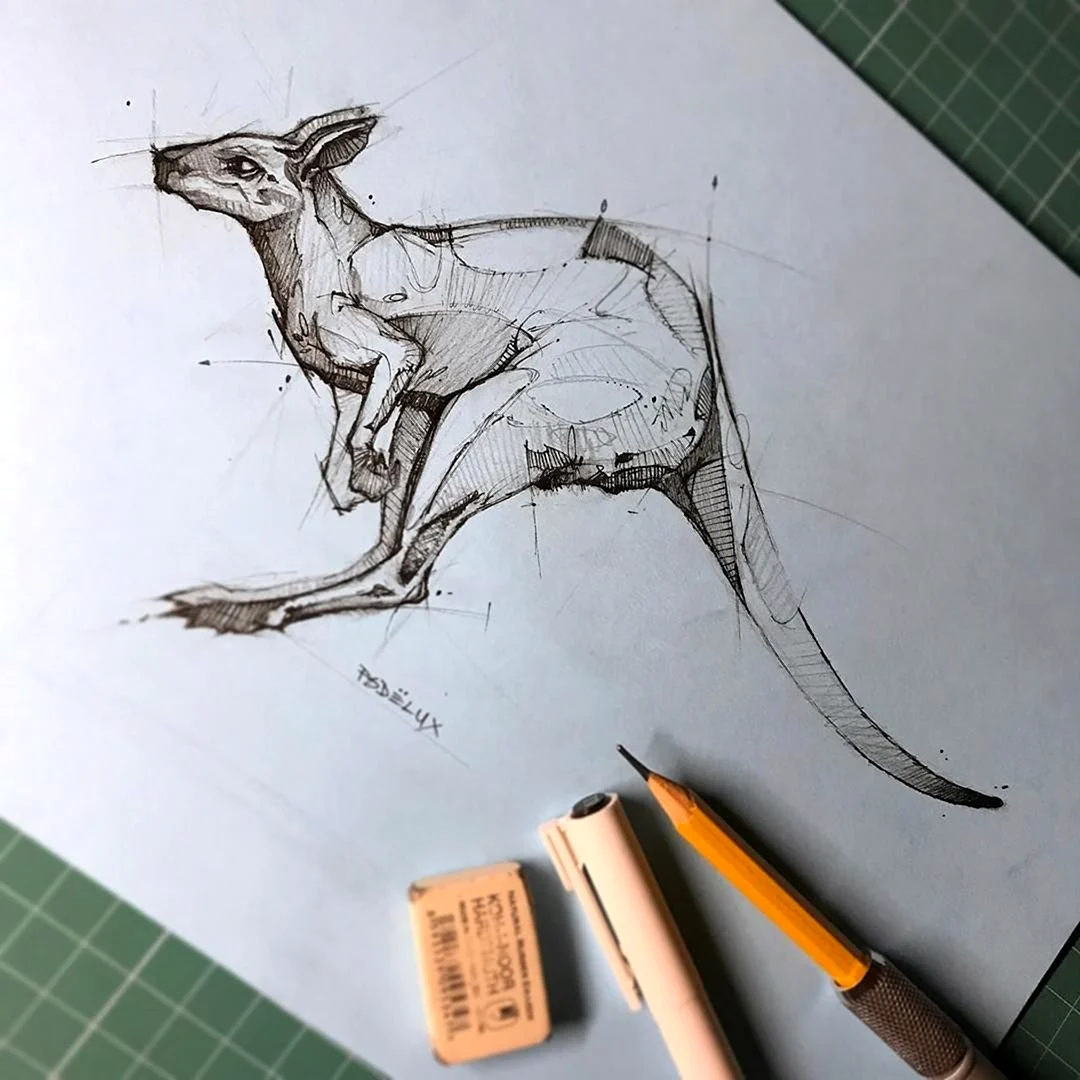 Скетчи карандашом животные