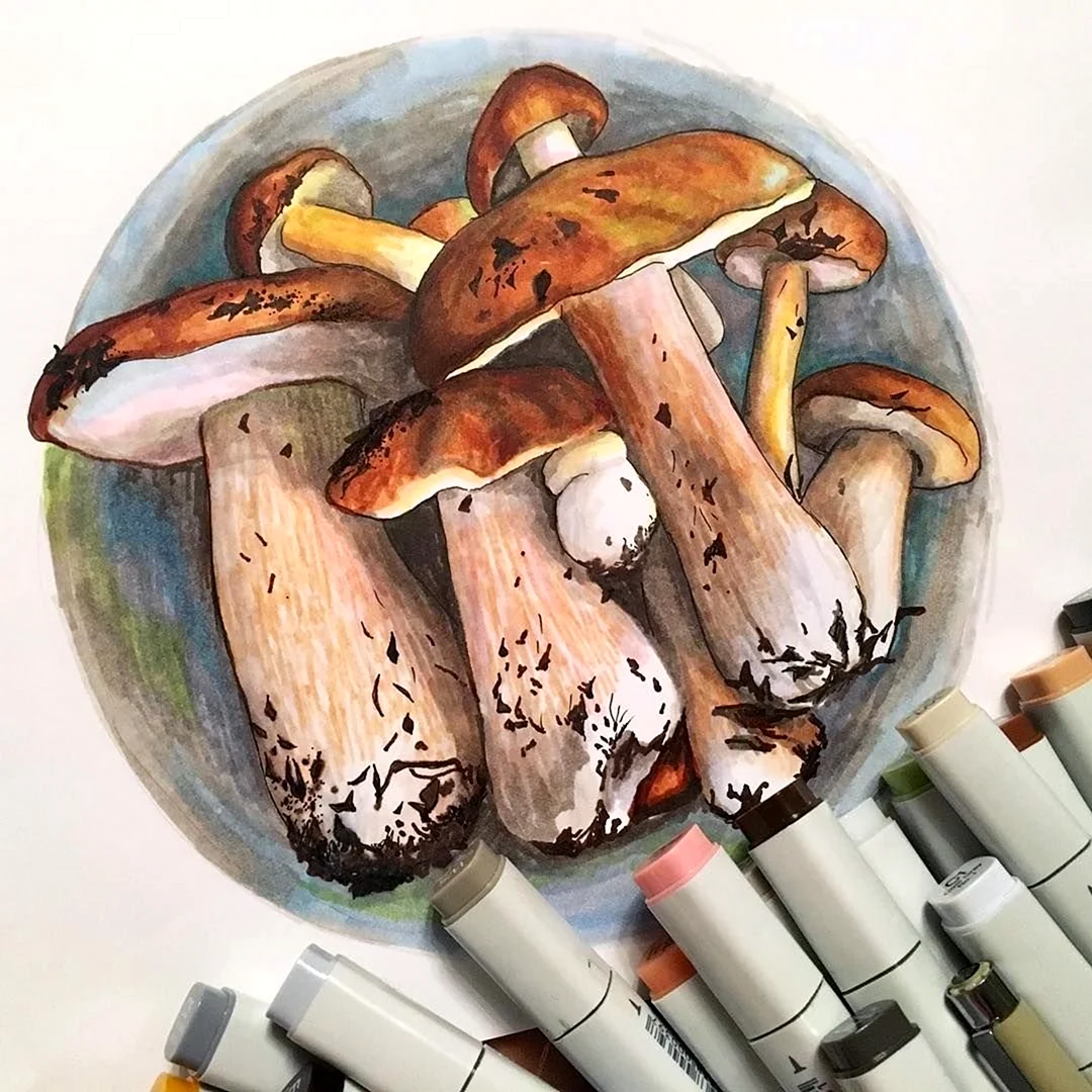 Раскраска грибы корзина. Корзина с грибами