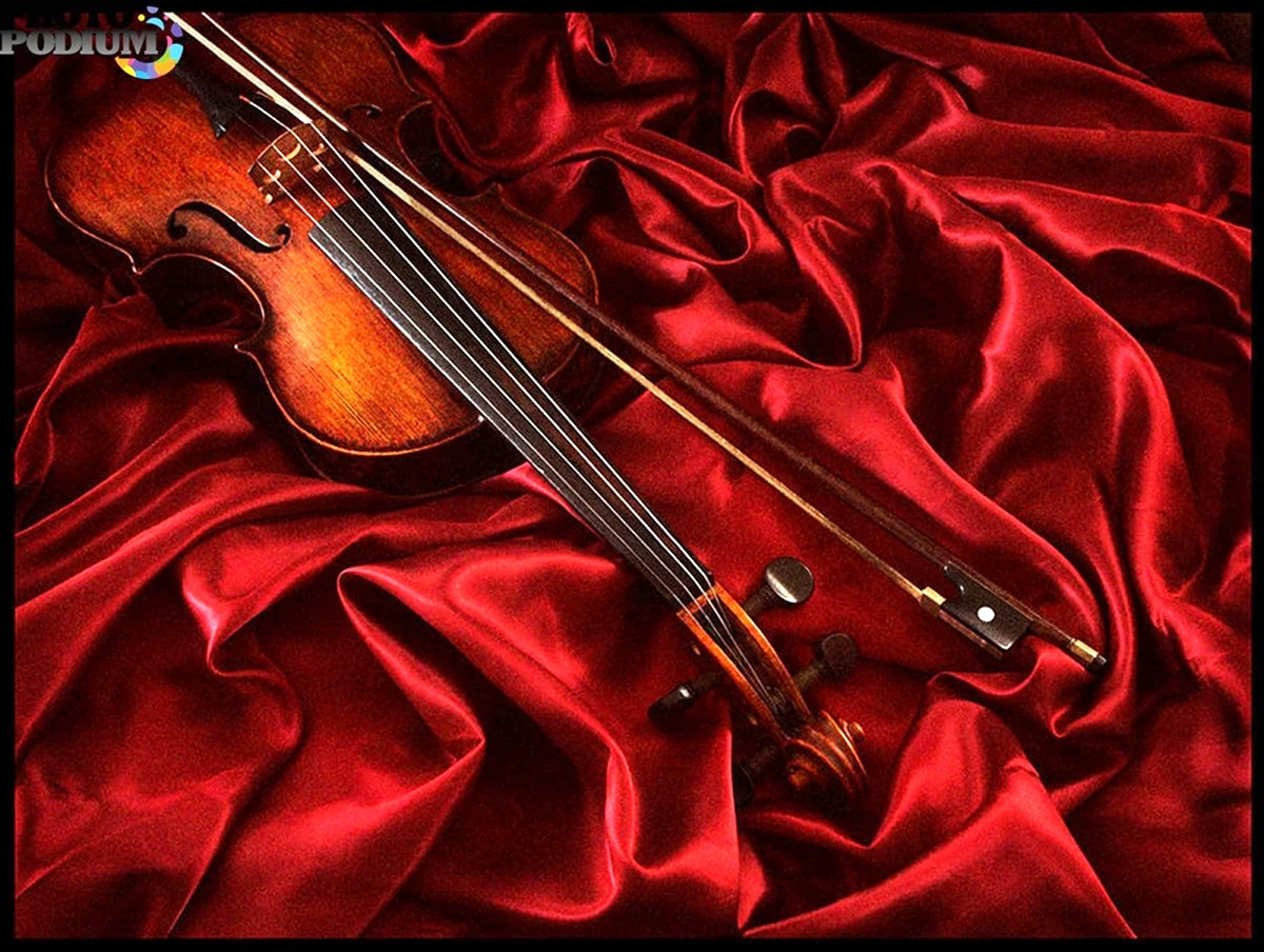 Скрипка Вивальди