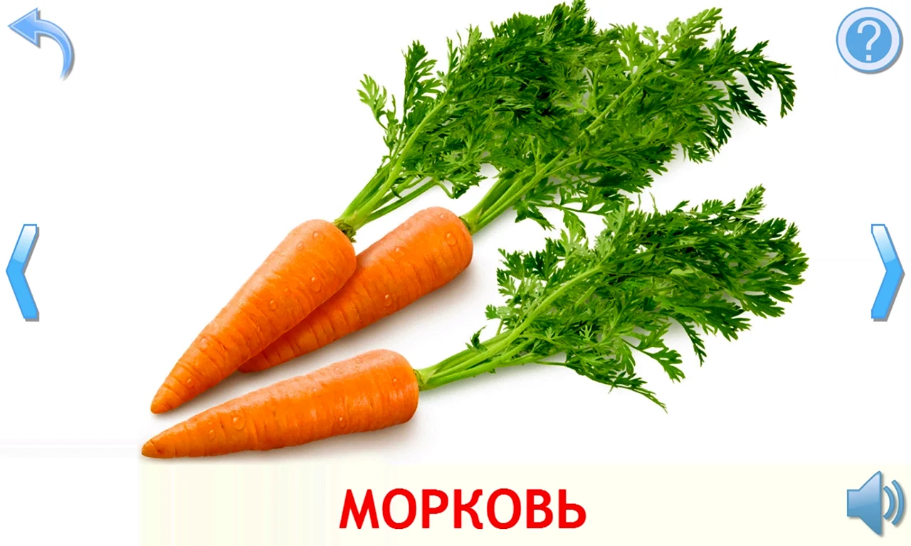 Слово морковь