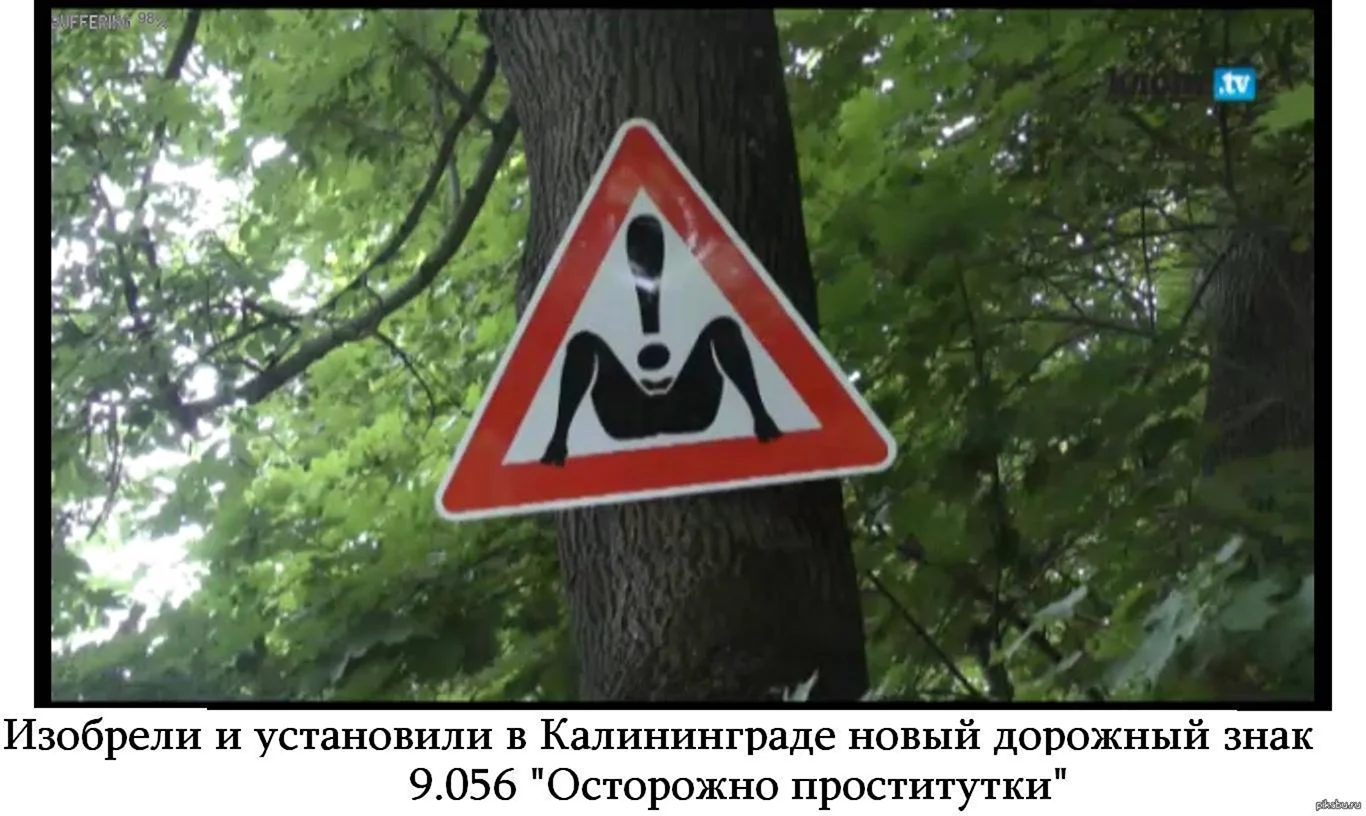 Смешные дорожные знаки в лесу