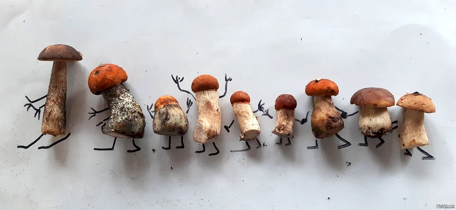Приколы про грибы | (3 фото)