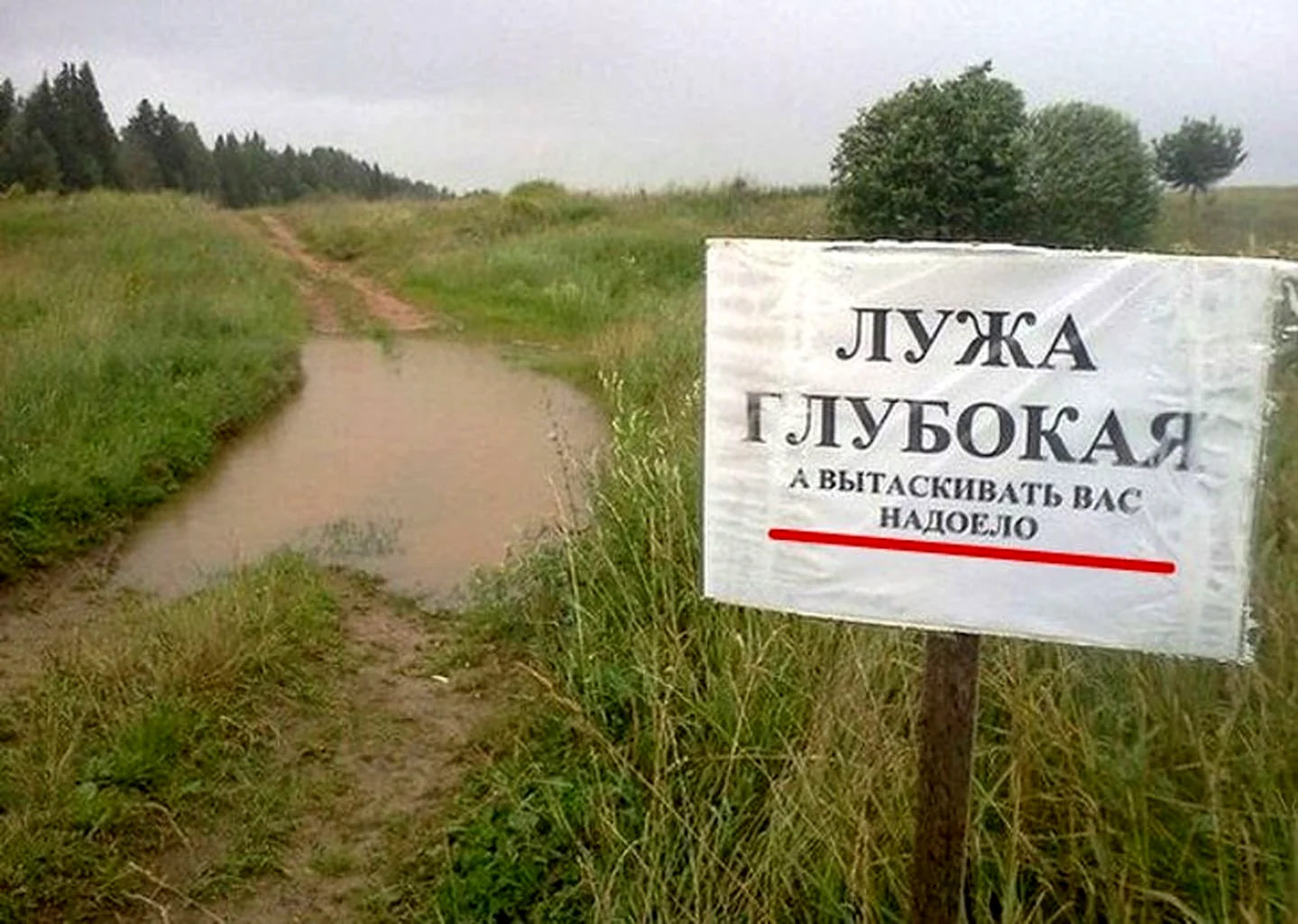 Сценарий праздника день деревни