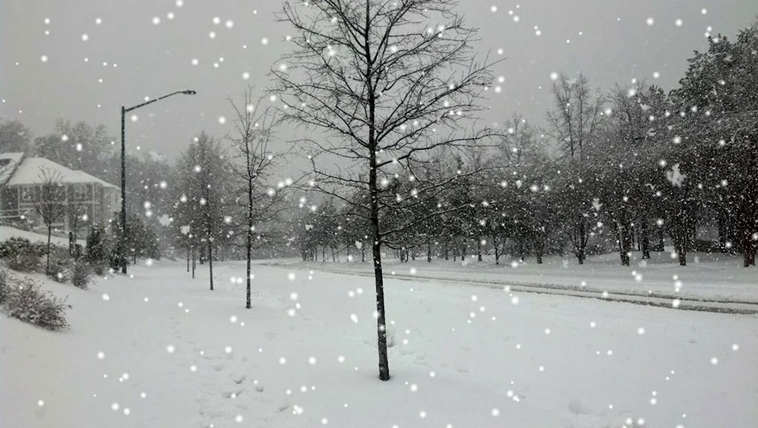 Падает снег на пляж и кружатся листья. Снегопад. Снегопад анимация. Снег падает улица. Снег идет.