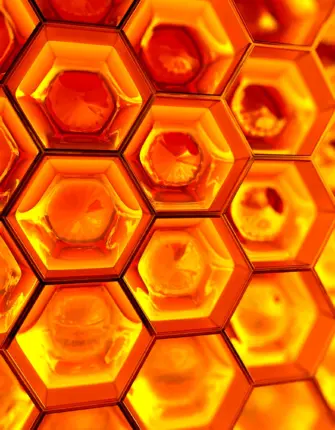 Соты Honeycomb Cell