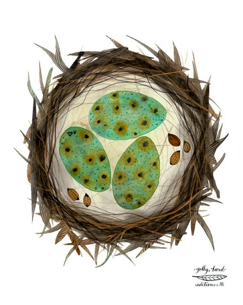 Сова на яйце рисунок