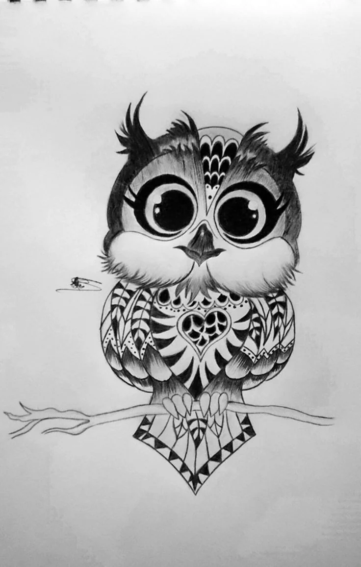 Эскиз татуировки сова в полете - Эскизы татуировок | Owl tattoo design, Owl tattoo, Owls drawing