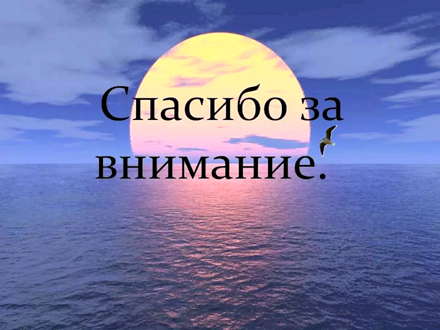 Спасибо за внимание - прикольные картинки (64 фото)