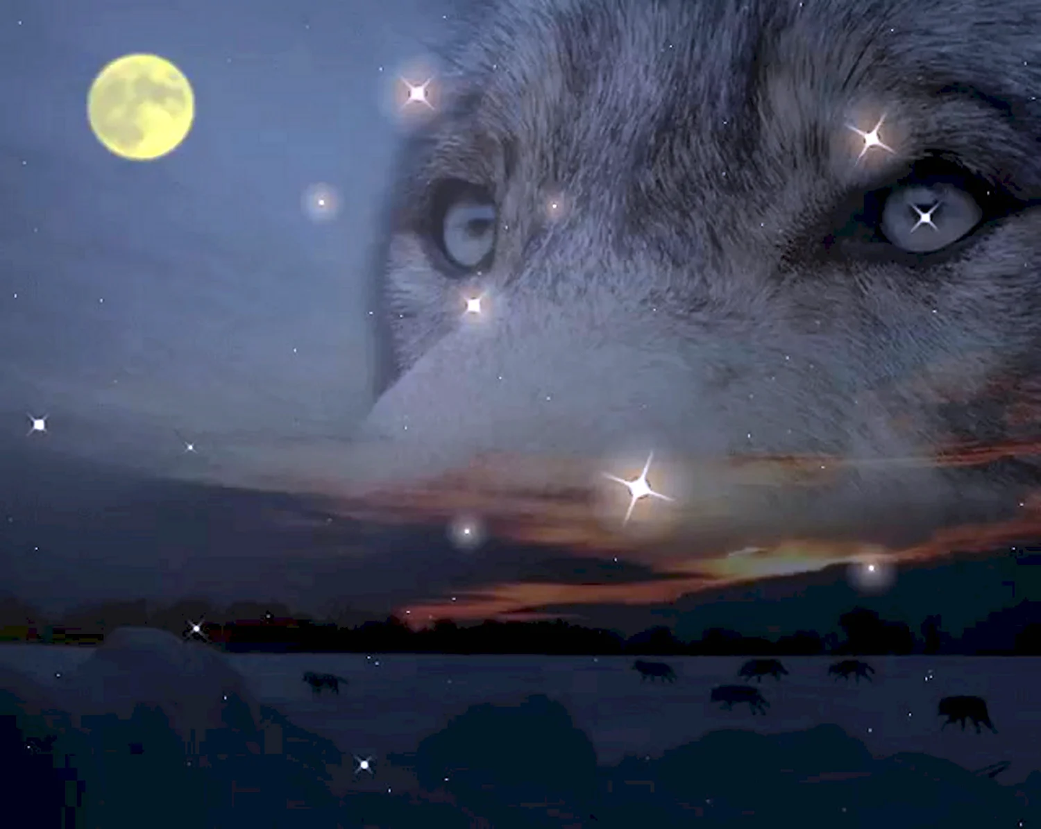 Спокойной ночи волк