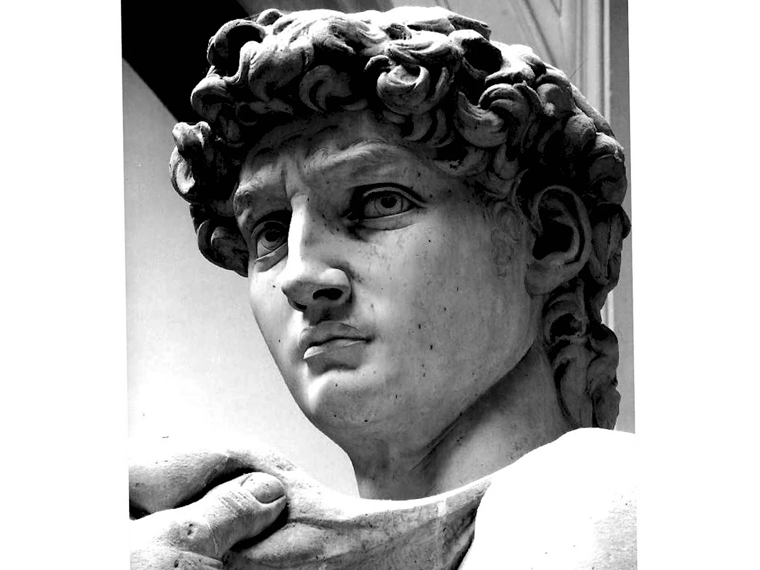 Статуя Давида Микеланджело