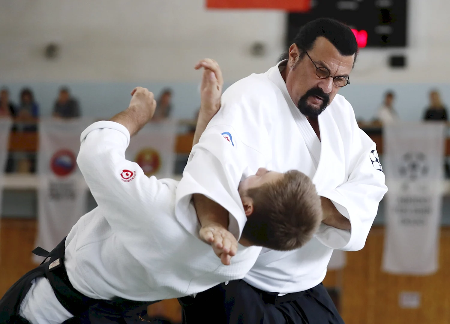 Стивен Сигал Aikido
