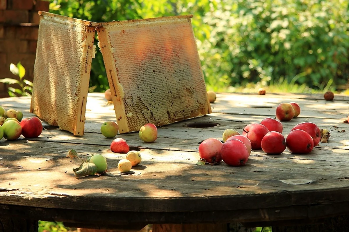 Стол в яблоневом саду
