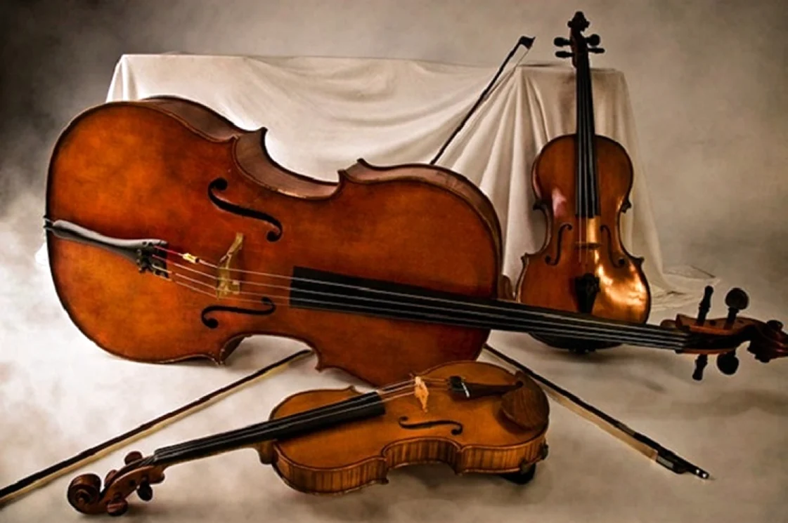 «Струнные инструменты» виолончель скрипка