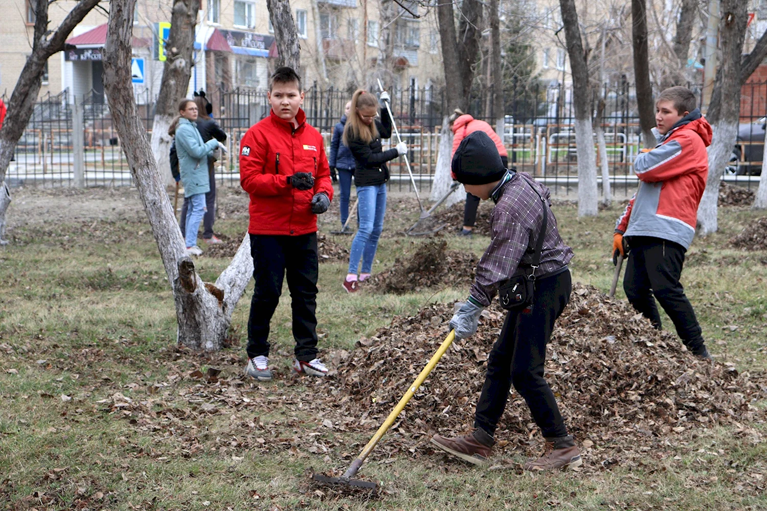 Картинки уборка территории (68 фото)