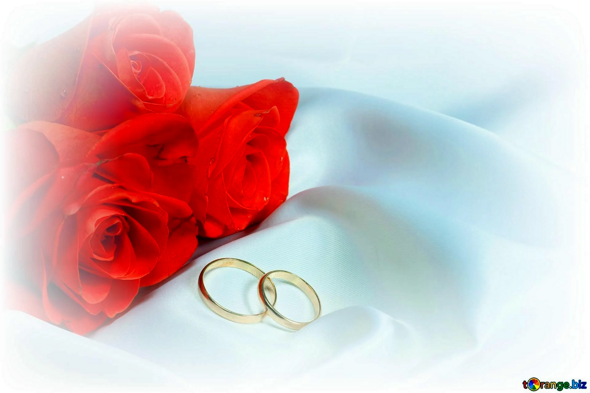 Свадебные приглашения с кольцами и цветами