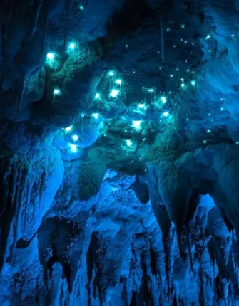 Светящиеся пещеры Вайтомо новая Зеландия