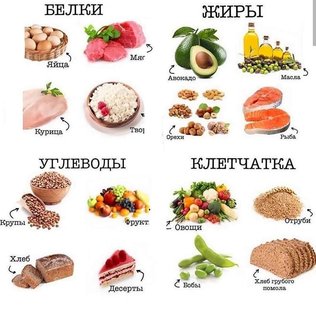 Таблица калорийности продуктов