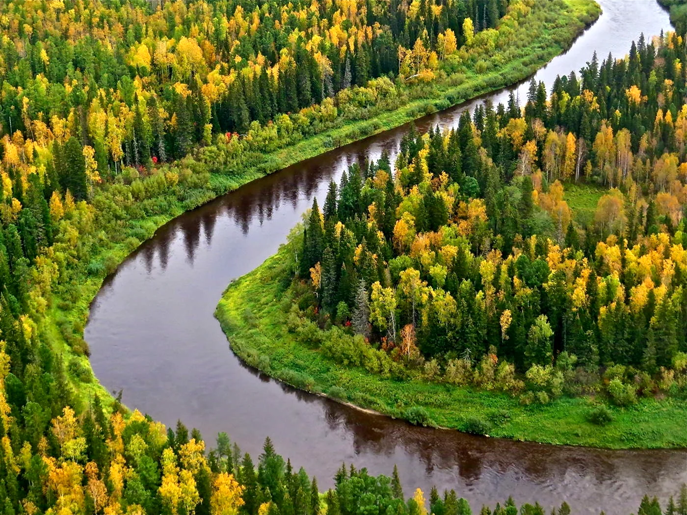 Тайга река Красноярск