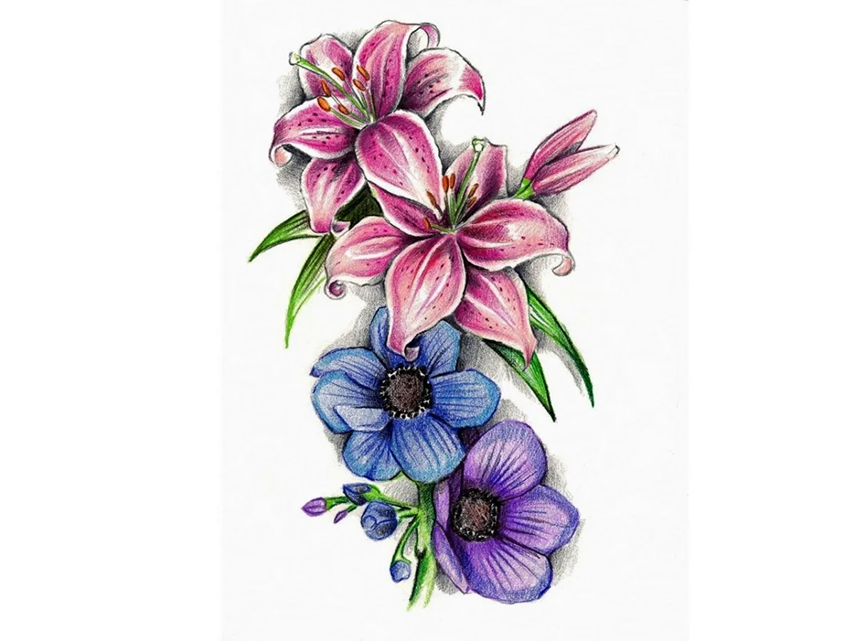Скетч рисунок маркерами цветы (45 фото) » Рисунки для срисовки и не только